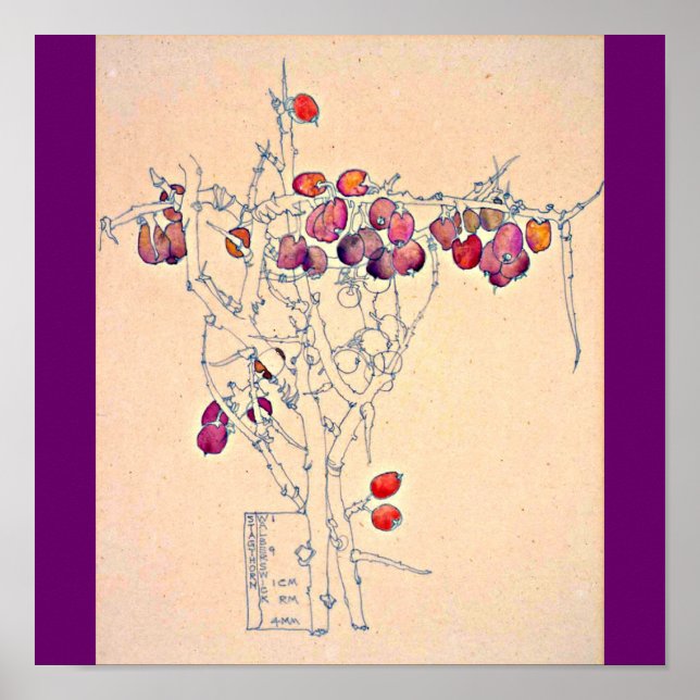 Poster-Classic/Vintage-Charles Rennie Mackintosh 7 Poster (Front)