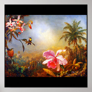 Poster-Classic/Vintage-Martin Johnson Heade 16 Poster