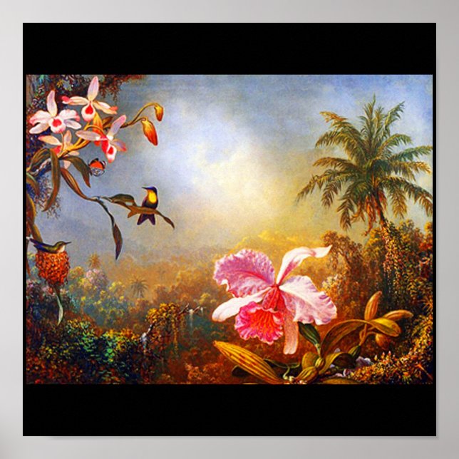 Poster-Classic/Vintage-Martin Johnson Heade 16 Poster (Front)