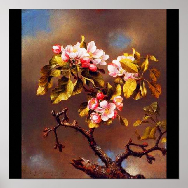 Poster-Classic/Vintage-Martin Johnson Heade 26 Poster (Front)