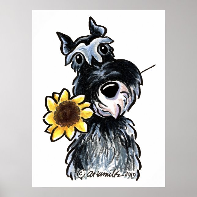 Poster Classique Sunny Schnauzer (Devant)