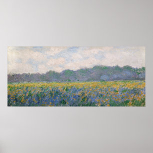 Poster Claude Monet - Champ d'iris jaunes à Giverny