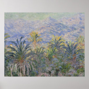 Poster Claude Monet - Palmiers à Bordighera