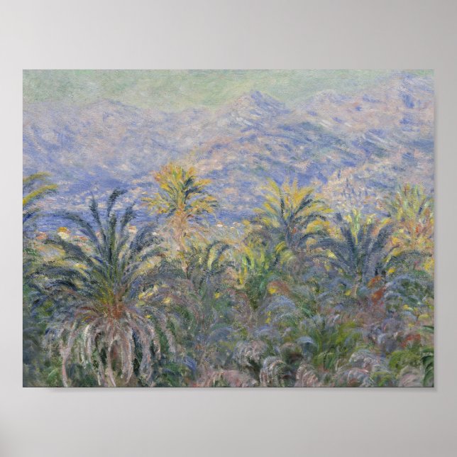 Poster Claude Monet - Palmiers à Bordighera (Devant)
