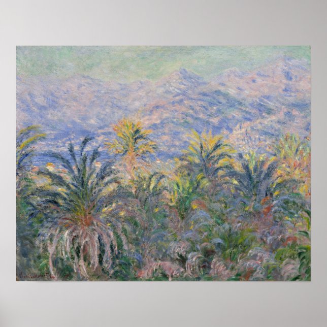 Poster Claude Monet | Palmiers à Bordighera (Devant)
