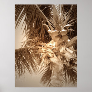 Poster Clé Palm Ouest - Sepia