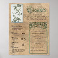 Cleavers Livre de plantes ombres Pagan Wiccan