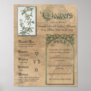 Poster Cleavers Livre de plantes ombres Pagan Wiccan