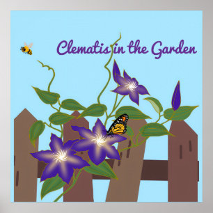 Poster Clématite dans le jardin