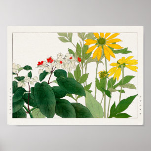 Poster Clerodendrum thomsoniae, Rudbeckia, Tanigami Konan