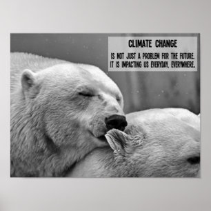 Poster Climate change black and white with polar bears