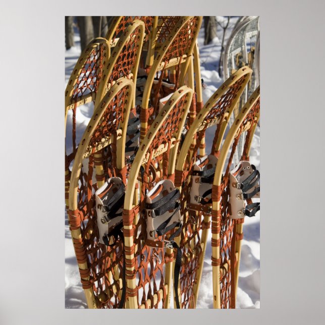 Poster Clinique de raquettes (Devant)