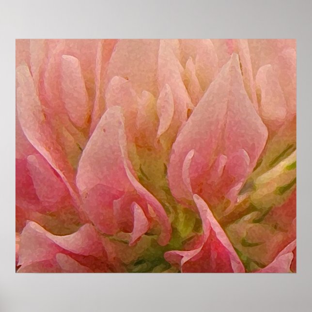 Poster Clocher rose (Devant)