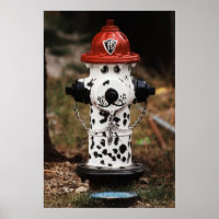 Close-up of Fire Hydrant