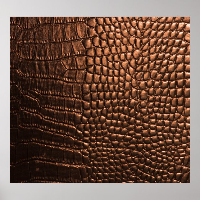 Poster Closeup : crocodile texture cuir. (Devant)