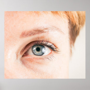 Poster Closeuse oculaire humain