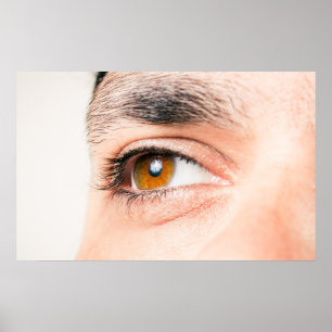 Poster Closeuse oculaire humain