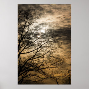 Poster Cloudy Sun Scene