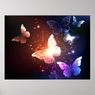 Poster Clowing Night Butterflies