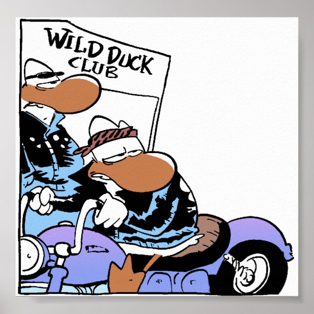 Poster Club de canard sauvage de marais (Devant)