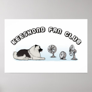 Poster Club de fans de Keeshond