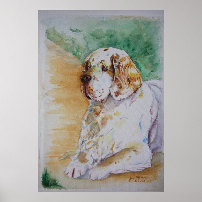 Poster Clumber Spaniel - Mon Ami Imprimer (Devant)