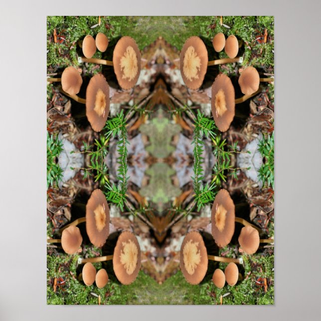 Poster Cluster de champignons Brown sauvages Abstrait (Devant)