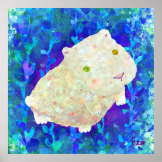 Poster cobaye blanche