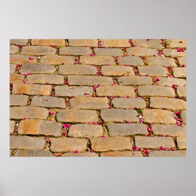 Poster Cobblestone Walking Detail (Devant)