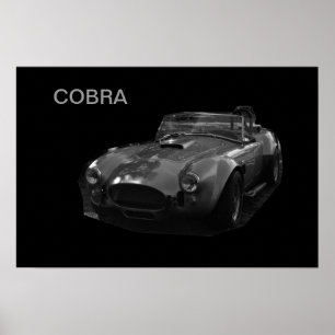 POSTER COBRA