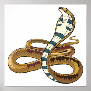 Poster cobra
