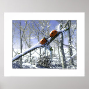 Poster Coccinelles de Noël