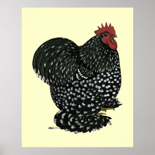 Poster Cochin:  Black Mottle