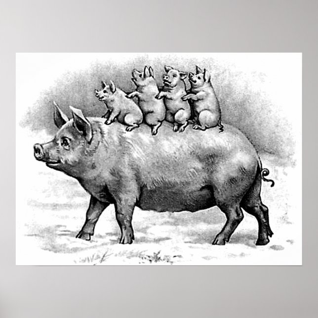 Poster Cochon avec porcelet (Devant)