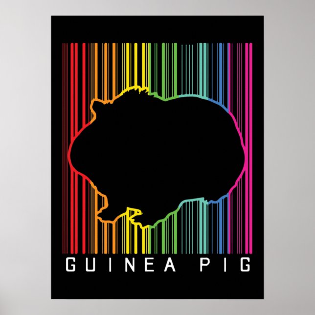 Poster Cochon de Guinée (Devant)