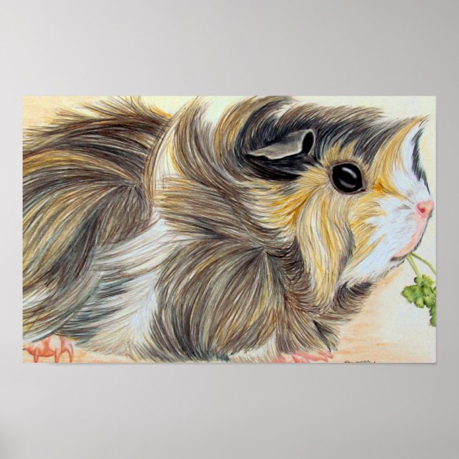 Poster Cochon De Guinée Avec Sprig (Devant)