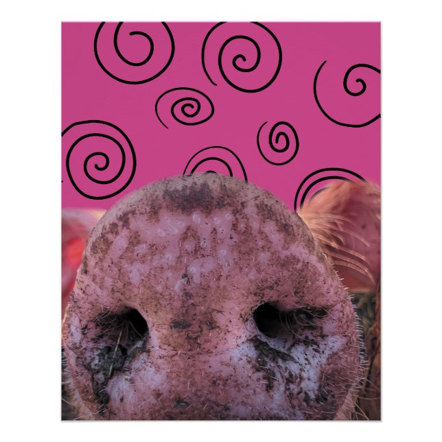 Poster Cochon fou (Devant)