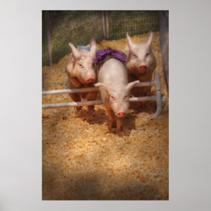 Poster Cochon - Franchir les obstacles