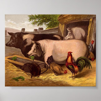 Poster Cochons dans le Barnyard