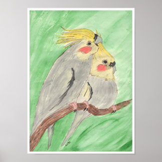 Poster Cockateils