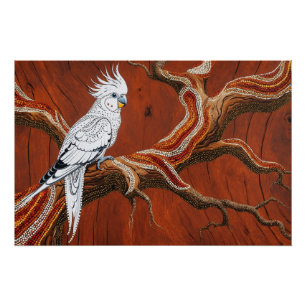 Poster Cockatiel australien