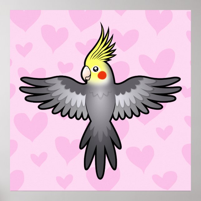 Poster Cockatiel Love (Devant)