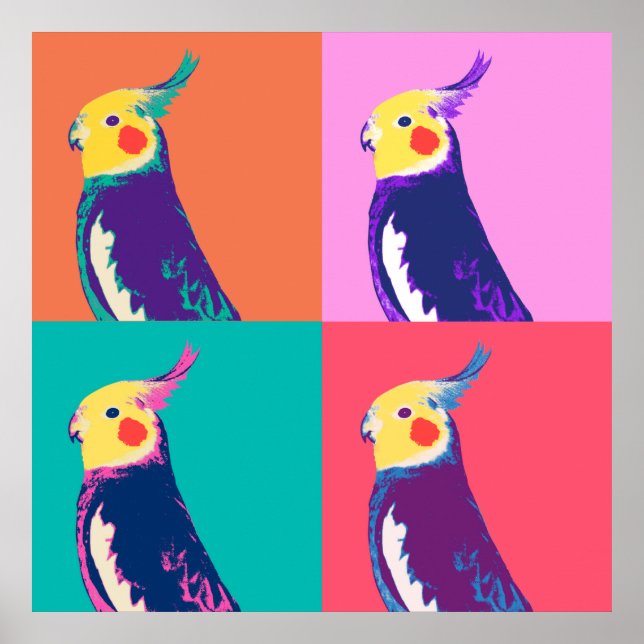 Poster Cockatiel Pop Art (Devant)