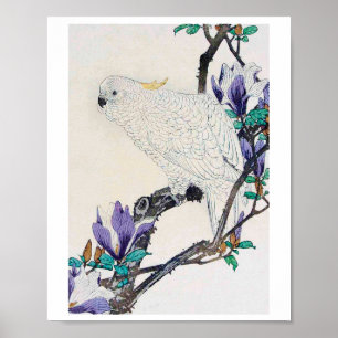 Poster Cockatoo et Lily Magnolia, Imao Keinen
