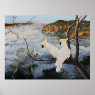 Poster Cockatoos à poitrine de soufre dans les montagnes