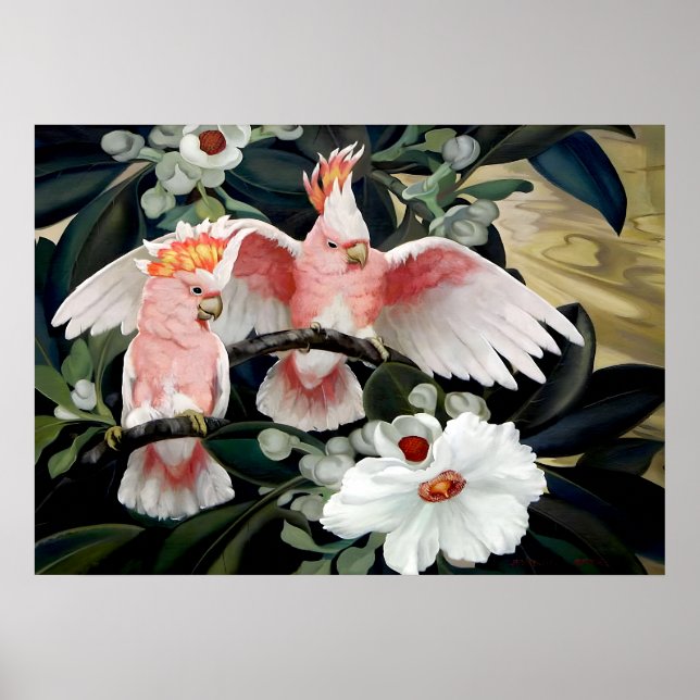 Poster Cockatoos au rose par Jessie Arms Botke (Devant)