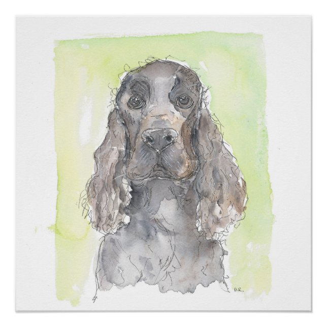 Poster Cocker Spaniel (Devant)