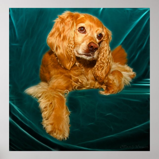 Poster Cocker Spaniel Chien chiot (Devant)