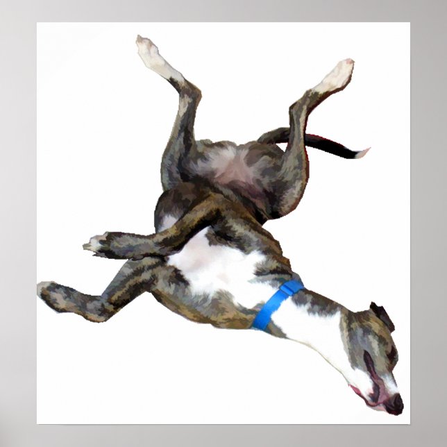 Poster Cockroaching (Devant)