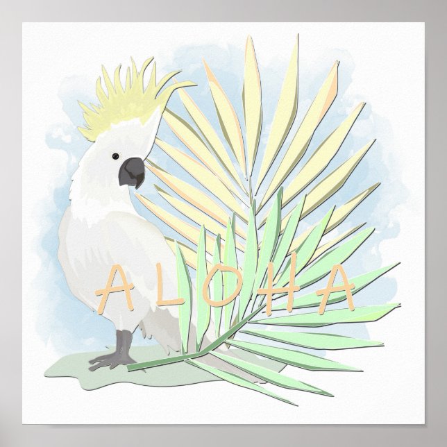 Poster Coco de perroquet blanc en feuille de palmiers. (Devant)